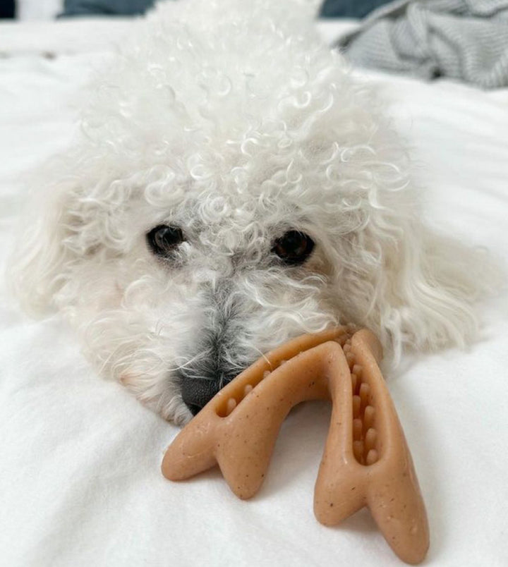 Peanut Butter Antler Chew