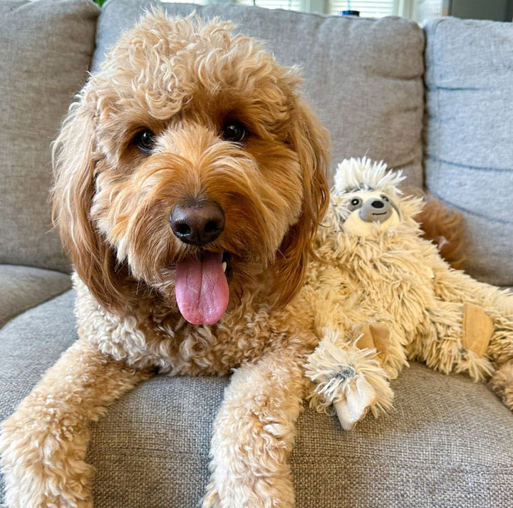 Rope Body Sloth Squeaker Toy