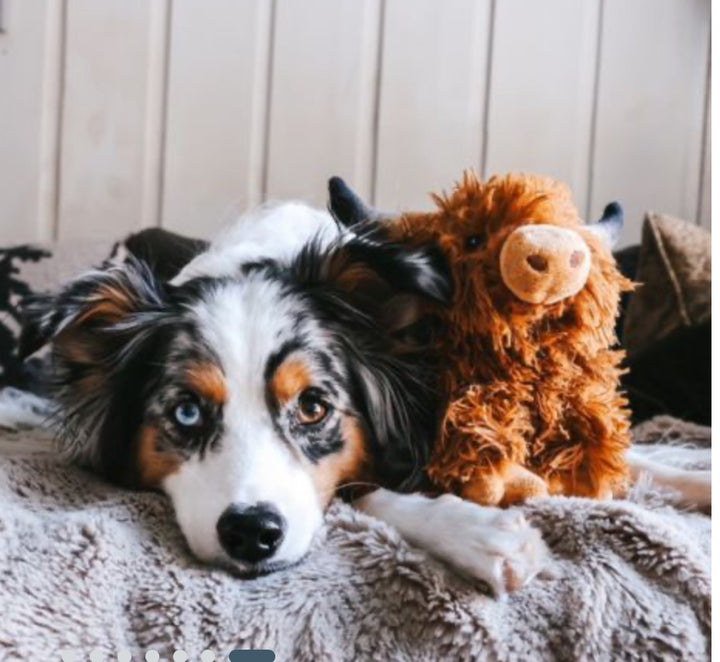 Highland Cow Plush