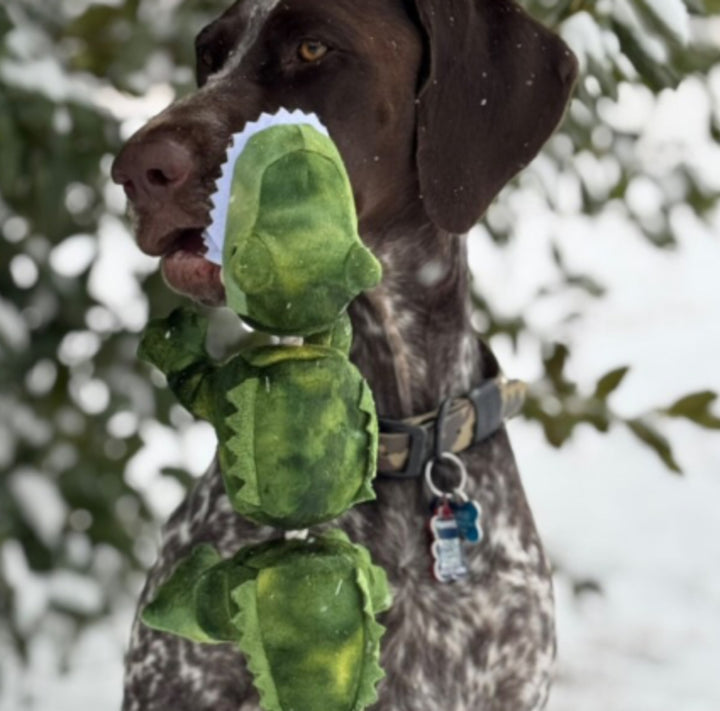 Jointed Shake Play Alligator