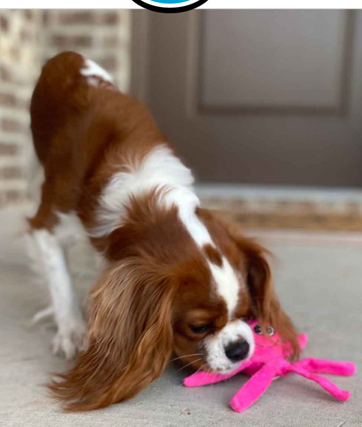 Tender-Tuffs Small Octopus