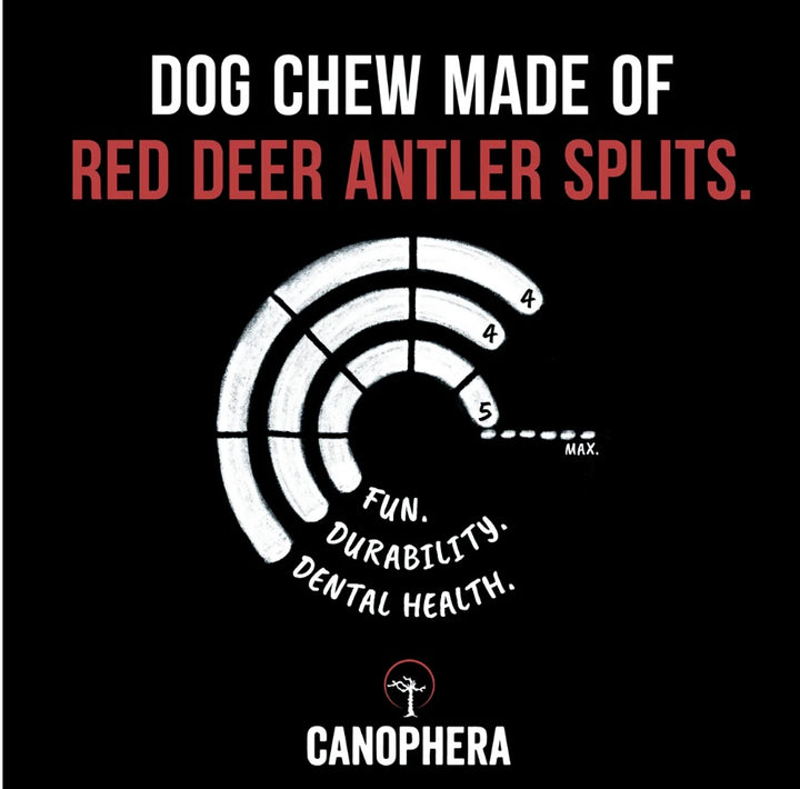 Split Antler Chews