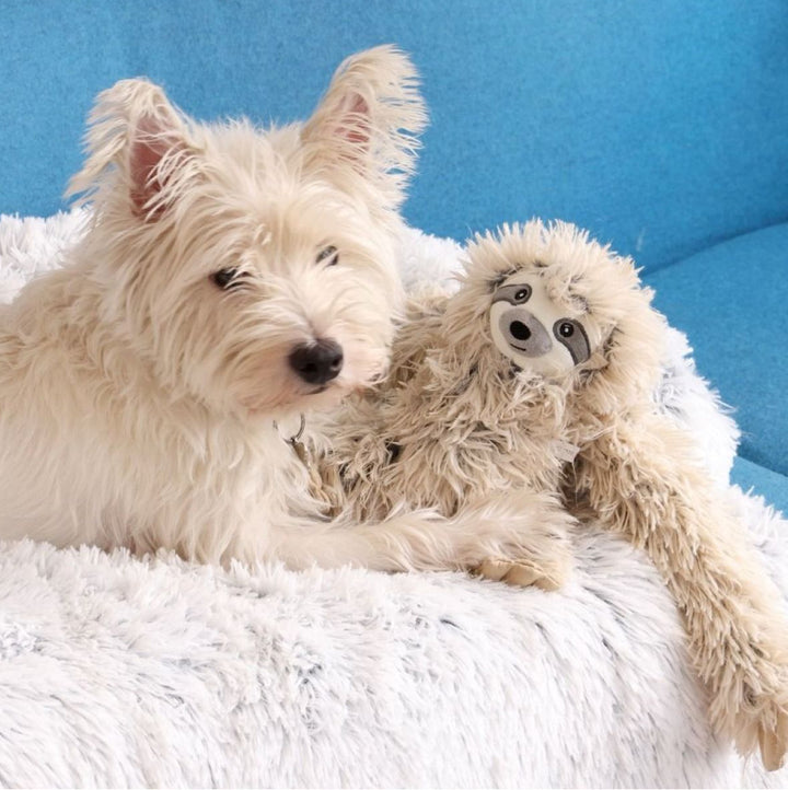 Rope Body Sloth Squeaker Toy