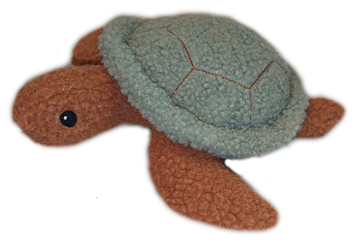 Sammy the Sea Turtle