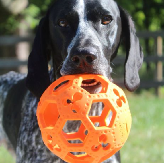 Goat Sport Flex-A-Ball