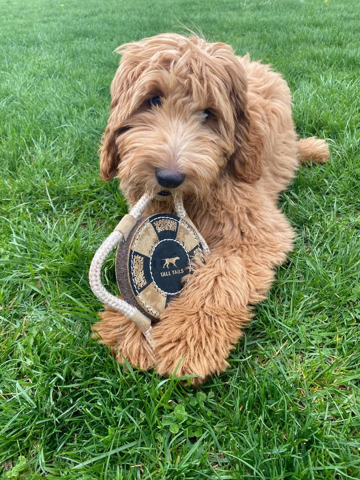 Natural Leather Lifebuoy Tug Toy