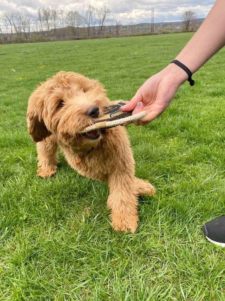 Natural Leather Lifebuoy Tug Toy
