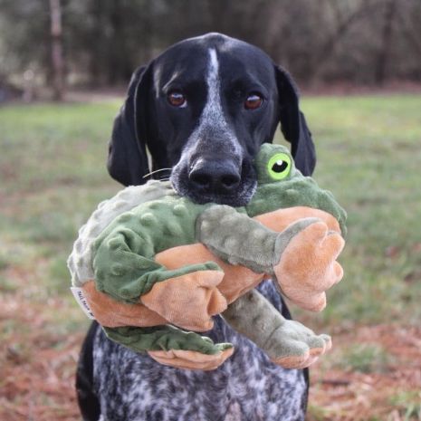 Animated Frog Toy