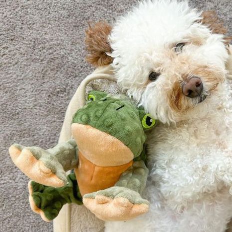 Animated Frog Toy