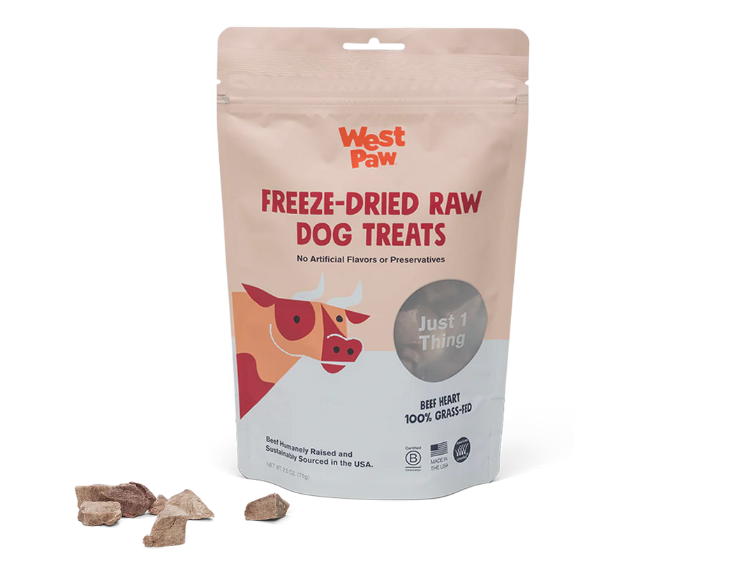 Freeze Dried Raw Beef Heart Dog Treats