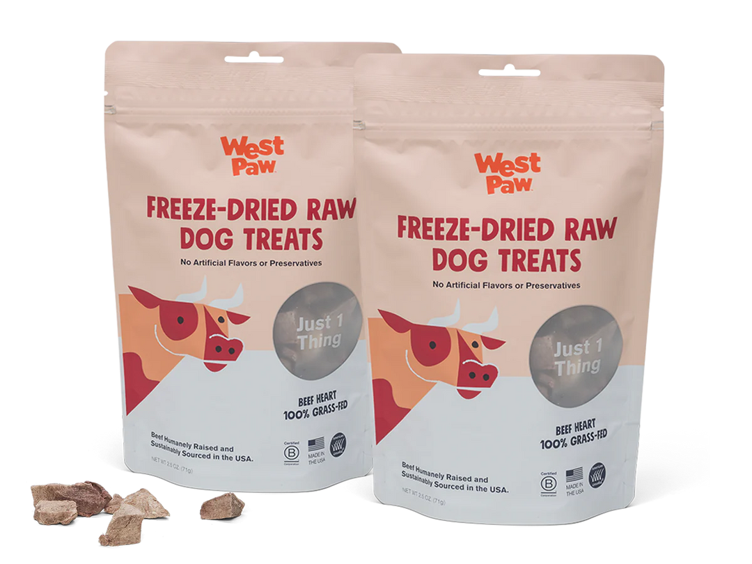 Freeze Dried Raw Beef Heart Dog Treats