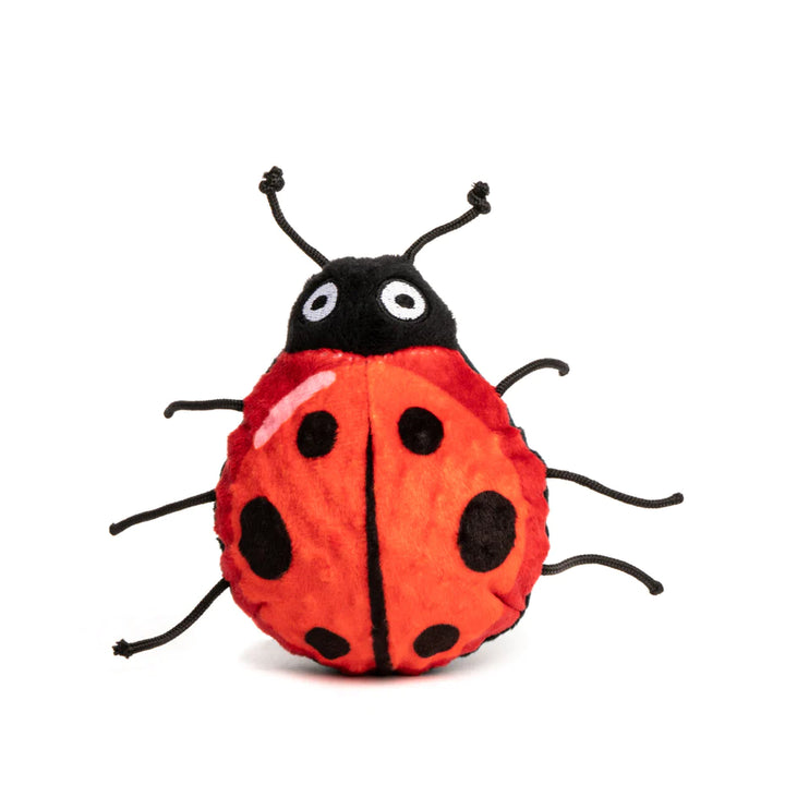 Ladybug Ball