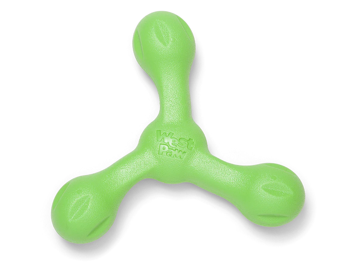 Skamp Fetch toy