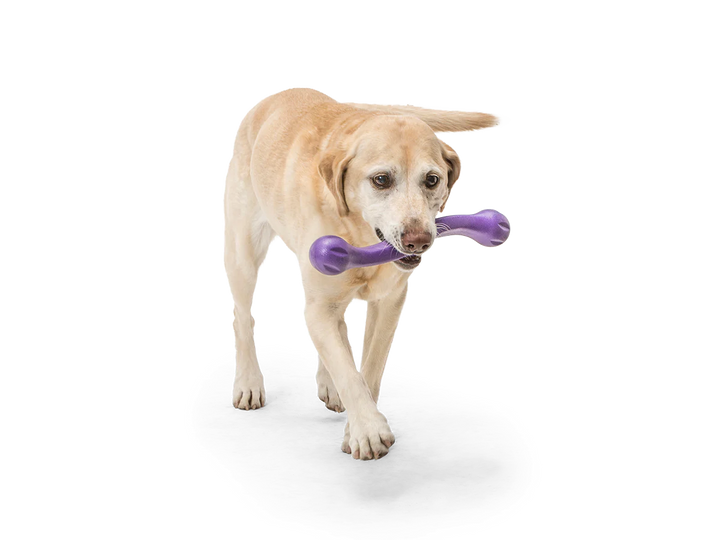 Zwig Fetch Toy