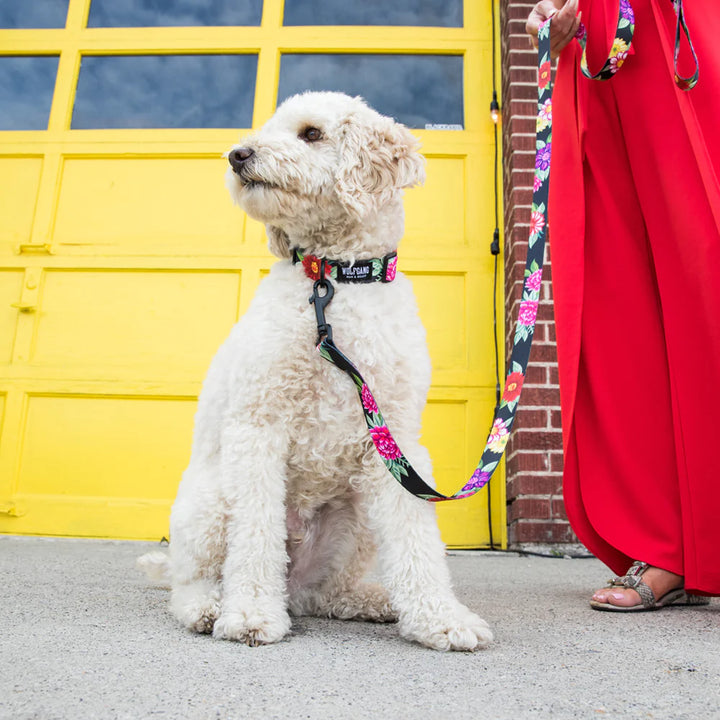 Darkfloral Leash