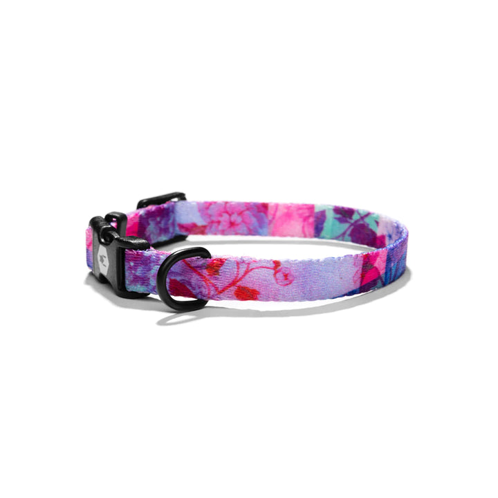 Daydream Flat Collar