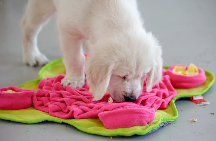 Four Leaf Snuffle Mat