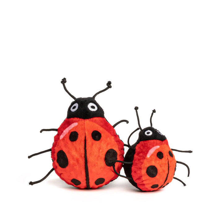 Ladybug Ball