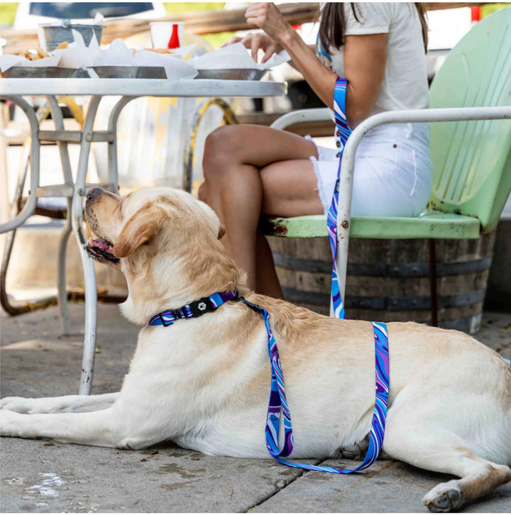 Marblewave Leash