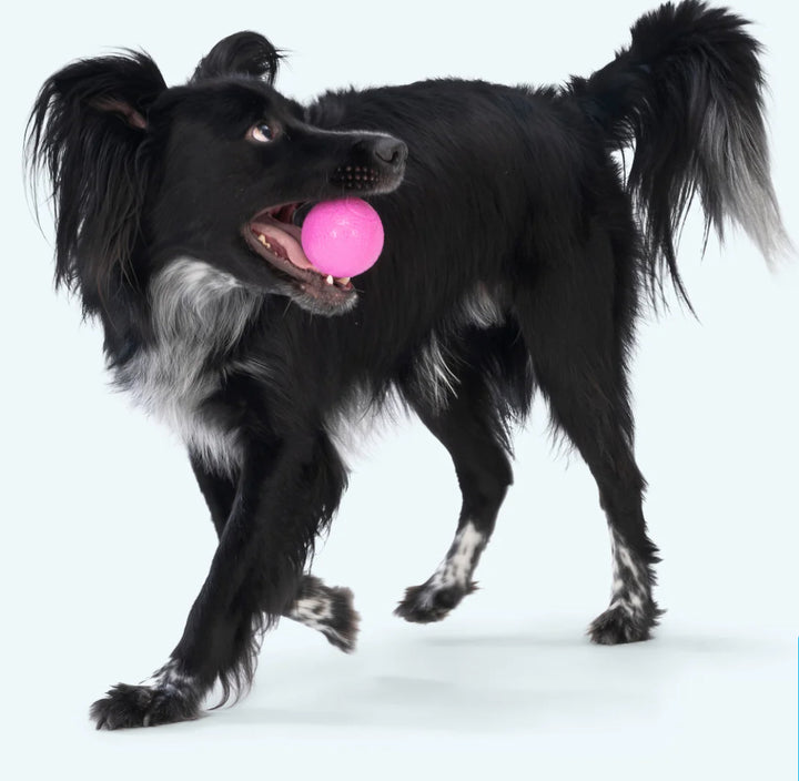 Boundr