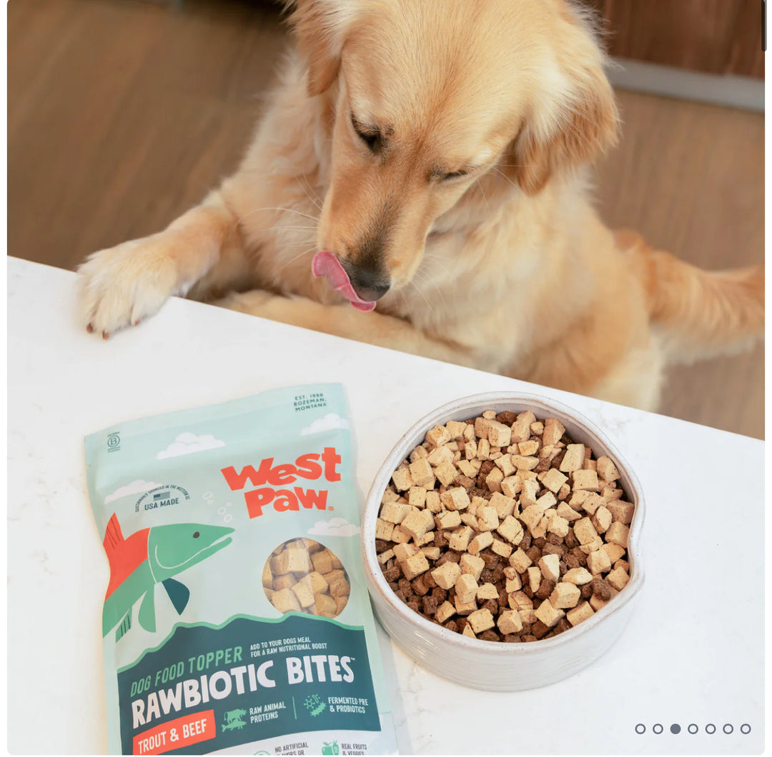Rawbiotic Bites