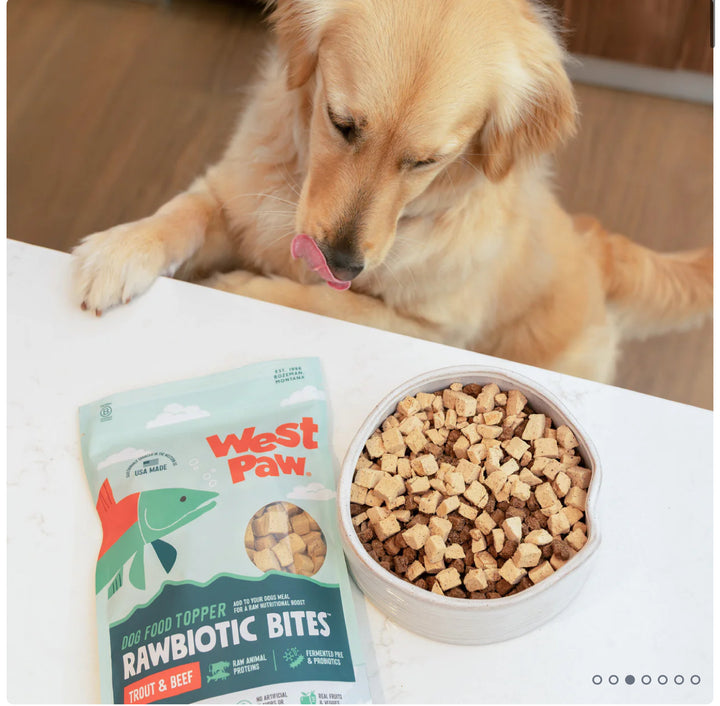 Rawbiotic Bites