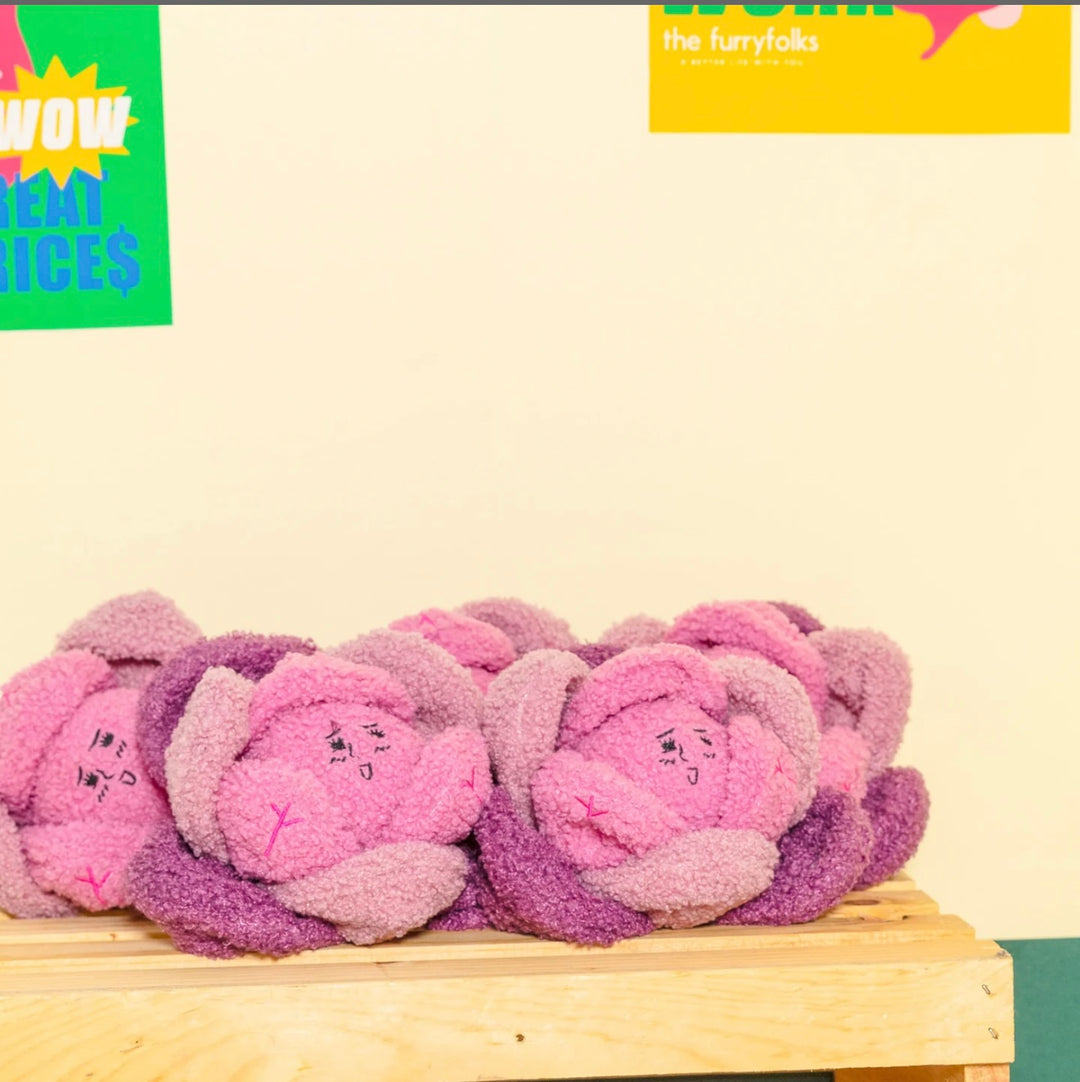 Red Cabbage Nose Work Toy