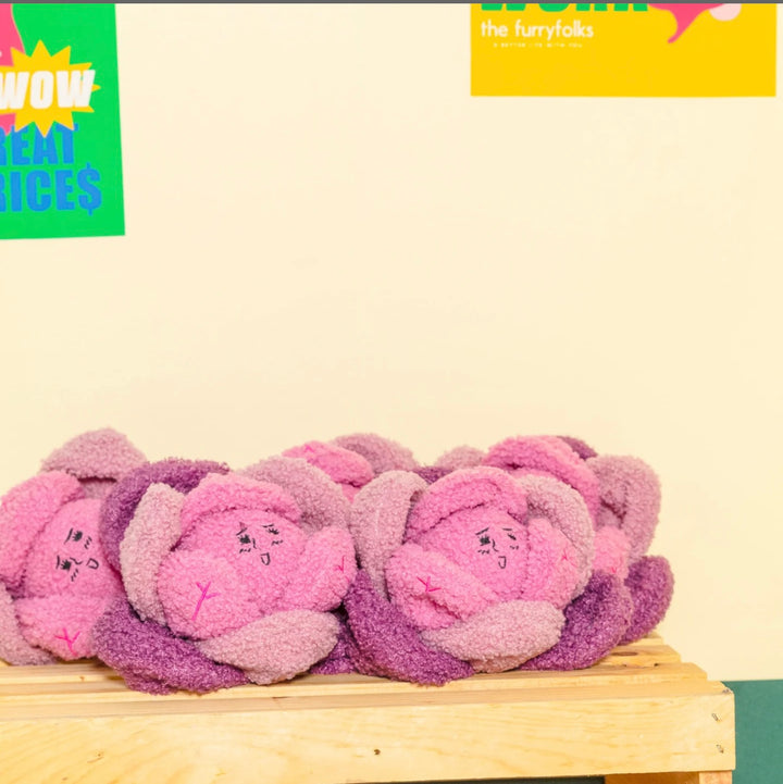 Red Cabbage Nose Work Toy