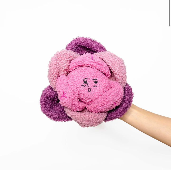 Red Cabbage Nose Work Toy
