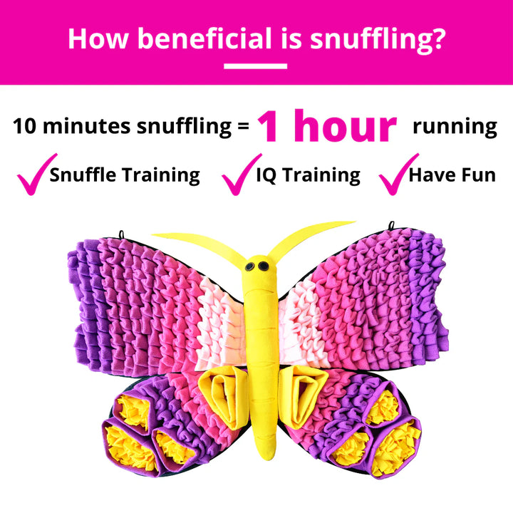 Radiant Butterfly Snuffle Mat