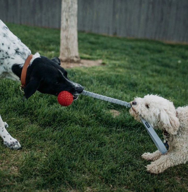 Bungee Handler