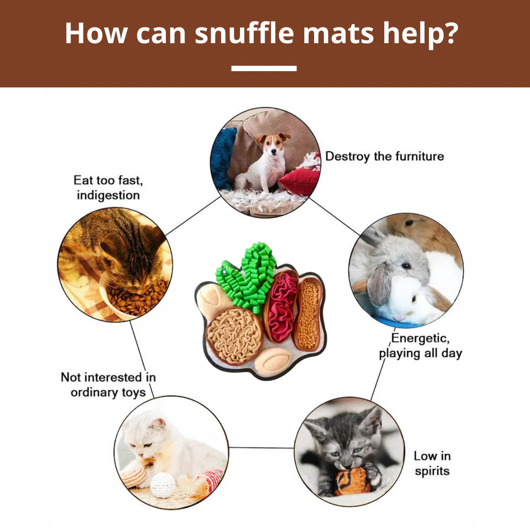 Chonky Peanuts Snuffle Mat