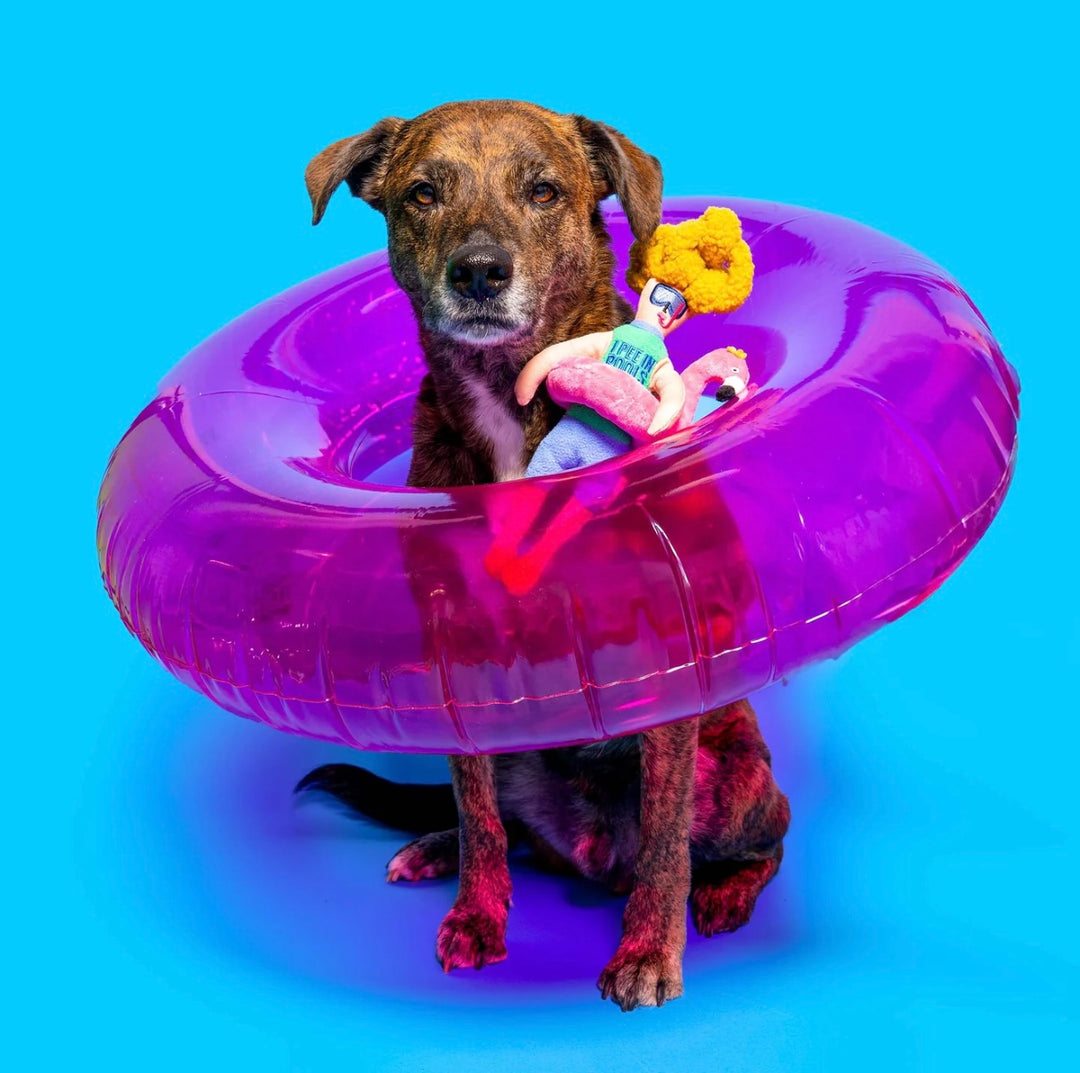 Flamingo Hooman Nose Work Toy