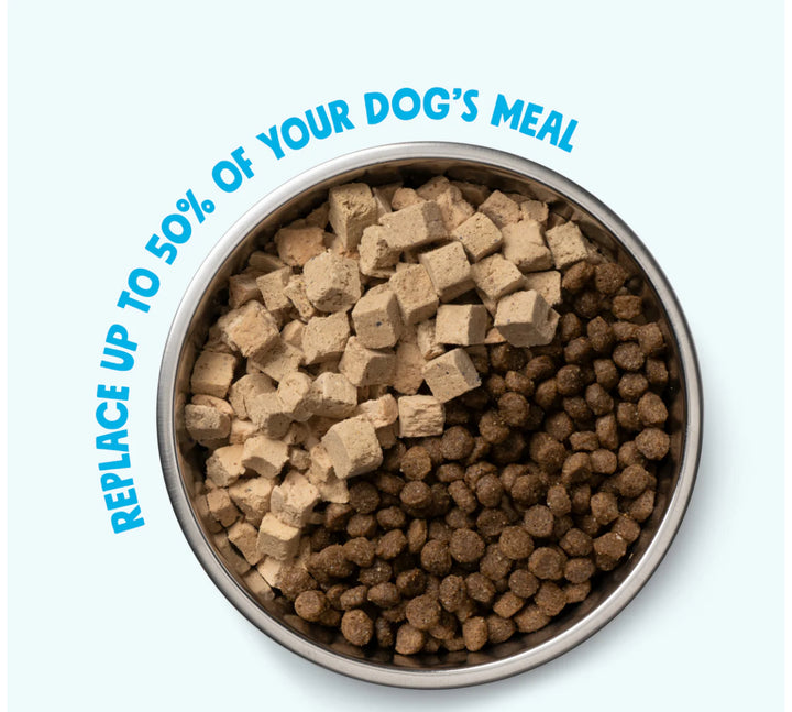Rawbiotic Bites