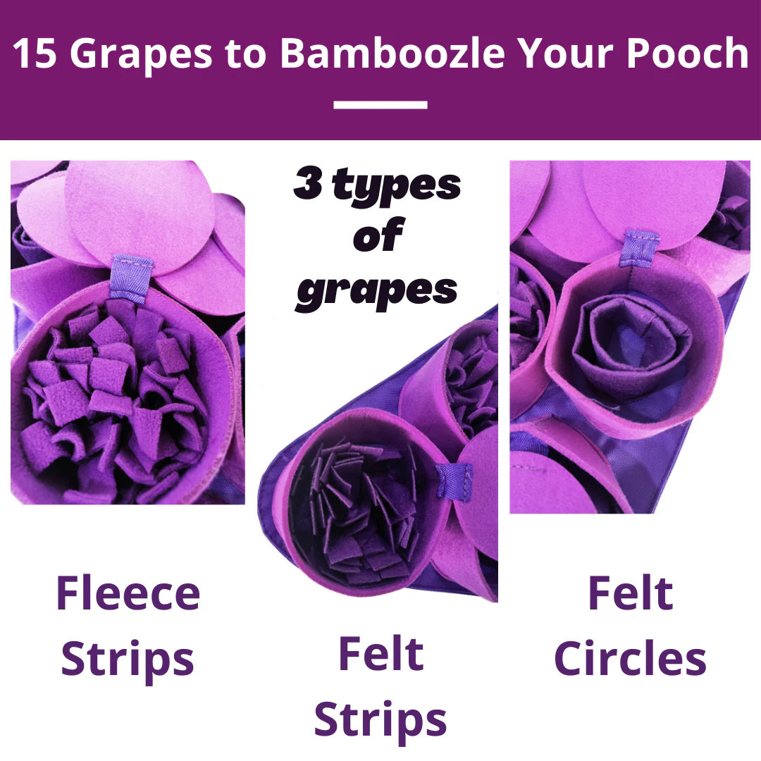 Forbidden Grapes Snuffle Mat