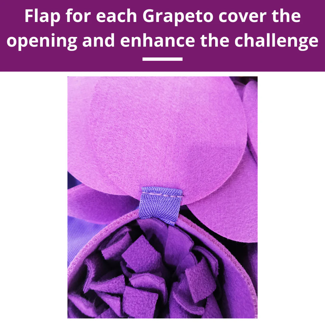 Forbidden Grapes Snuffle Mat