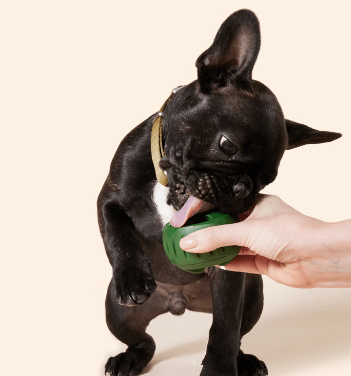 Pupsicle Treat Tray