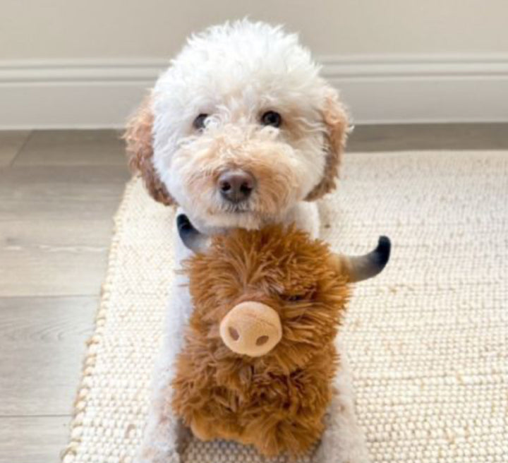 Highland Cow Plush