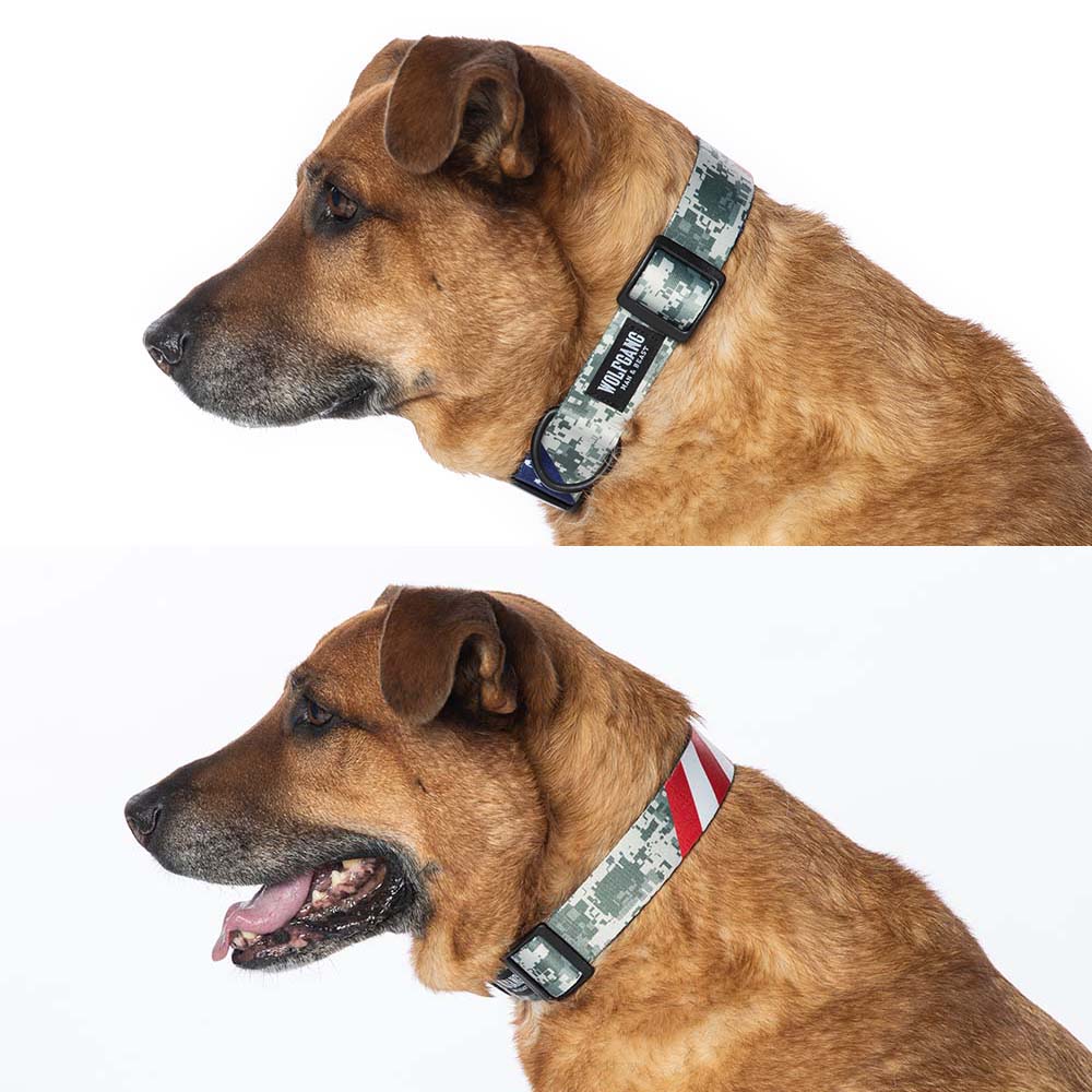 Digitaldog Flat Collar