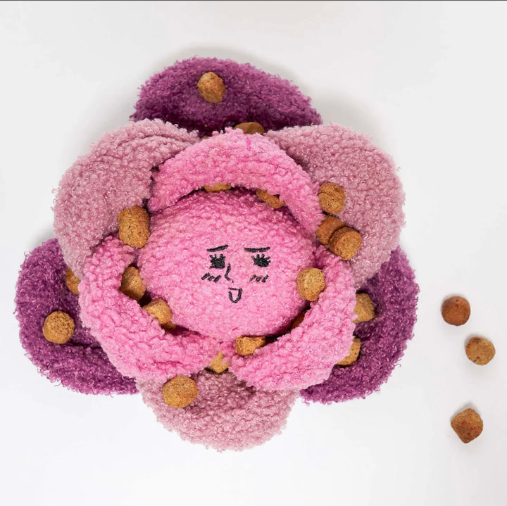 Red Cabbage Nose Work Toy