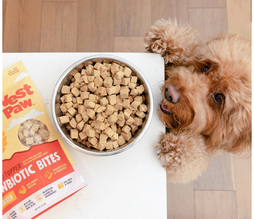 Rawbiotic Bites