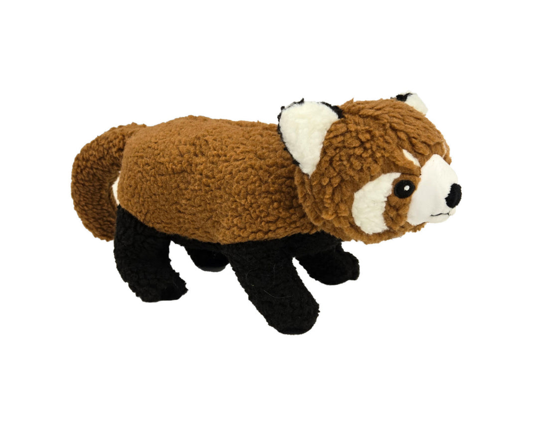 Rocky the Red Panda