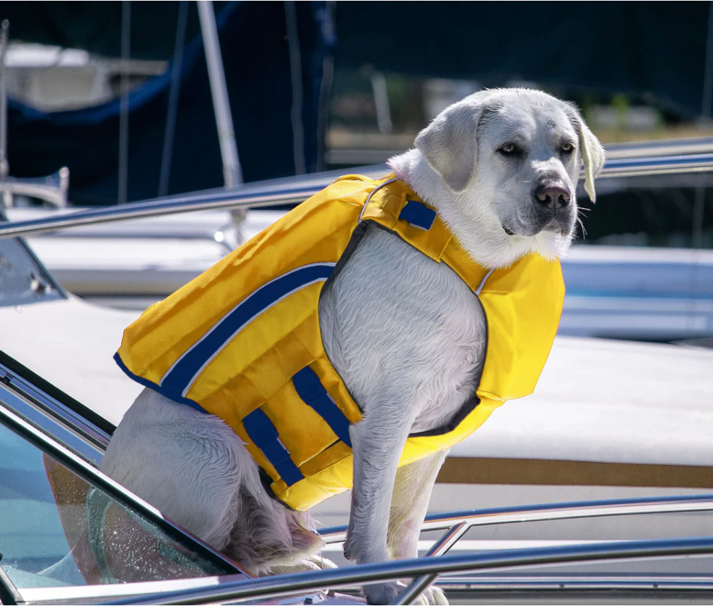 Monterey Bay Dog LifeJacket