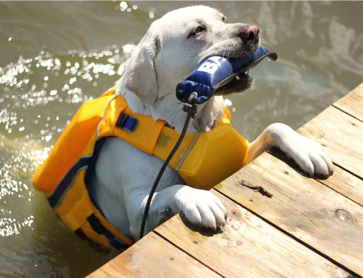 Monterey Bay Dog LifeJacket