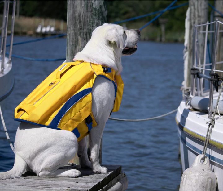 Monterey Bay Dog LifeJacket