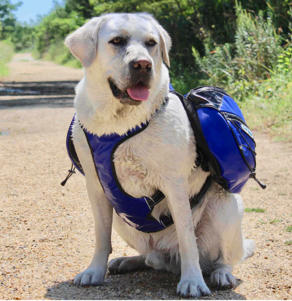 Saranac Dog Backpack