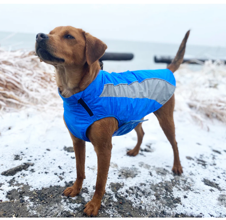 Saginaw Bay Dog Fleece