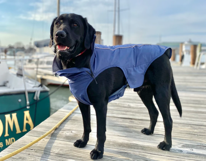 Narrangansett Bay Dog Sailing Jacket