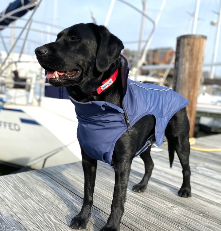 Narrangansett Bay Dog Sailing Jacket