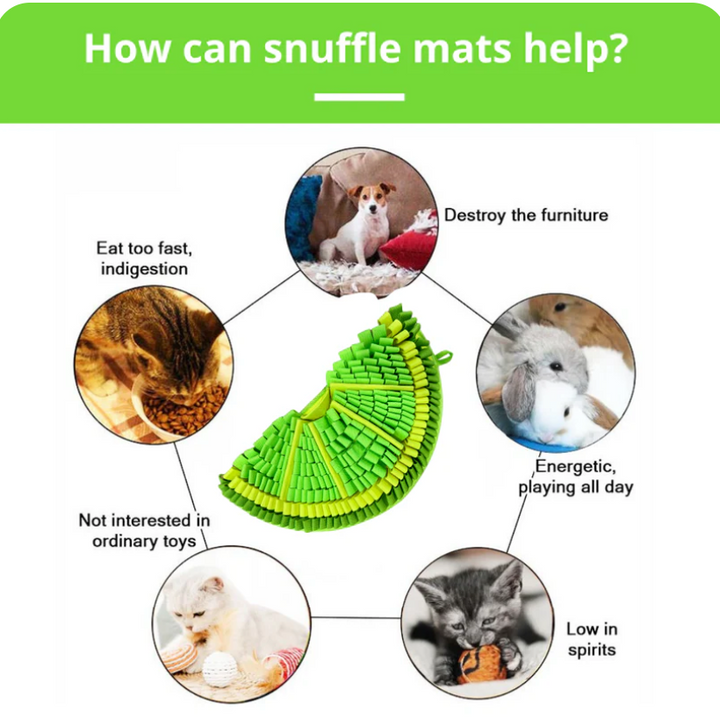 Zesty Lime Snuffle Mat